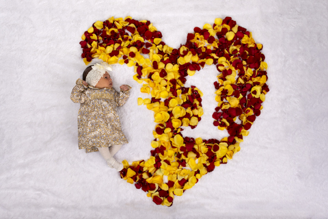 Sesión Familia textura recién nacida, pétalos en composición