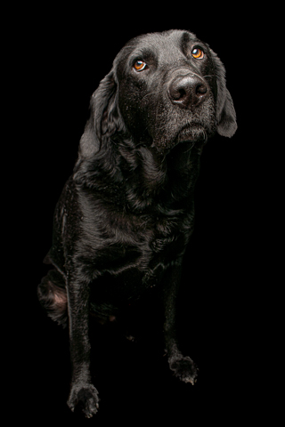 NEGRO RETRATO FONDO NEGRO