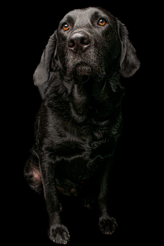 NEGRO RETRATO FONDO NEGRO 5