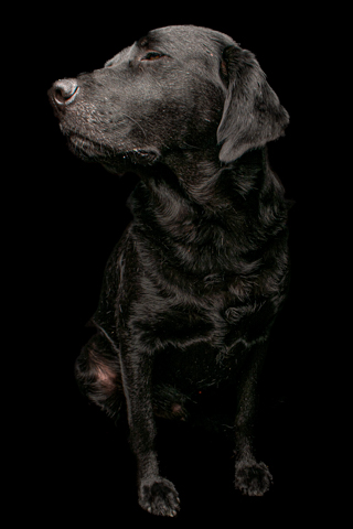 NEGRO RETRATO FONDO NEGRO 4