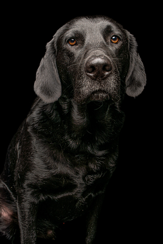 NEGRO RETRATO FONDO NEGRO 3