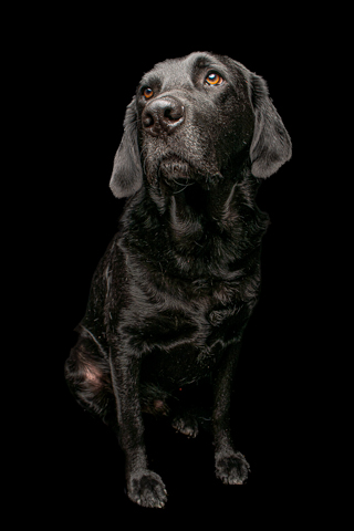 NEGRO RETRATO FONDO NEGRO 1