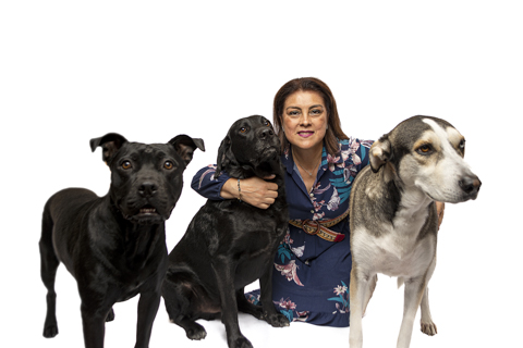 RETRATO FAMILIAR CON MASCOTAS FONDO BLANCO